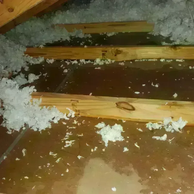 Attic Water Damage in Salisbury, NC